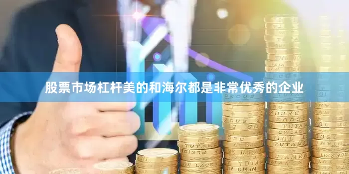 股票市场杠杆美的和海尔都是非常优秀的企业