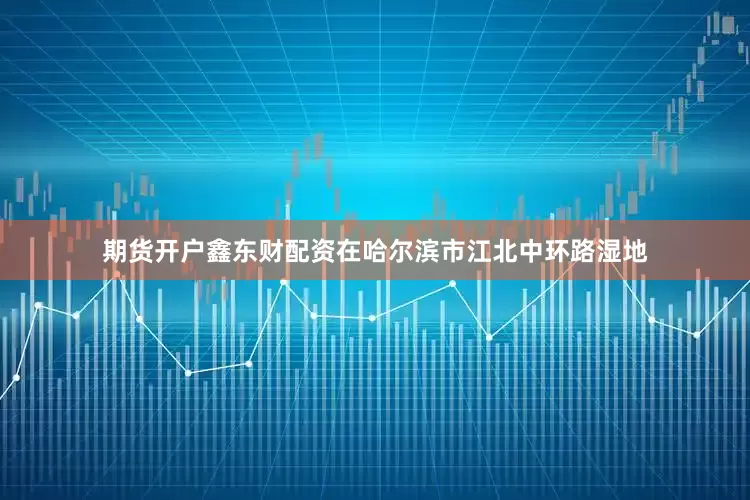 期货开户鑫东财配资在哈尔滨市江北中环路湿地