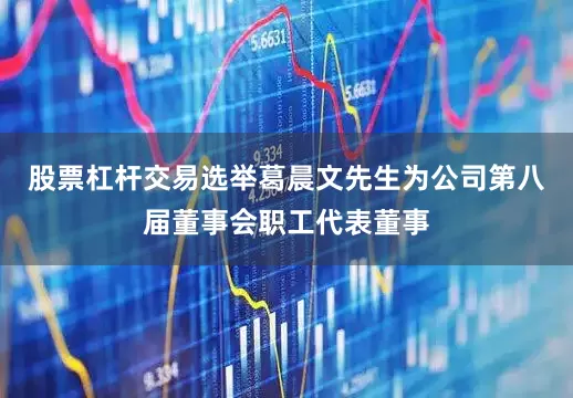 股票杠杆交易选举葛晨文先生为公司第八届董事会职工代表董事